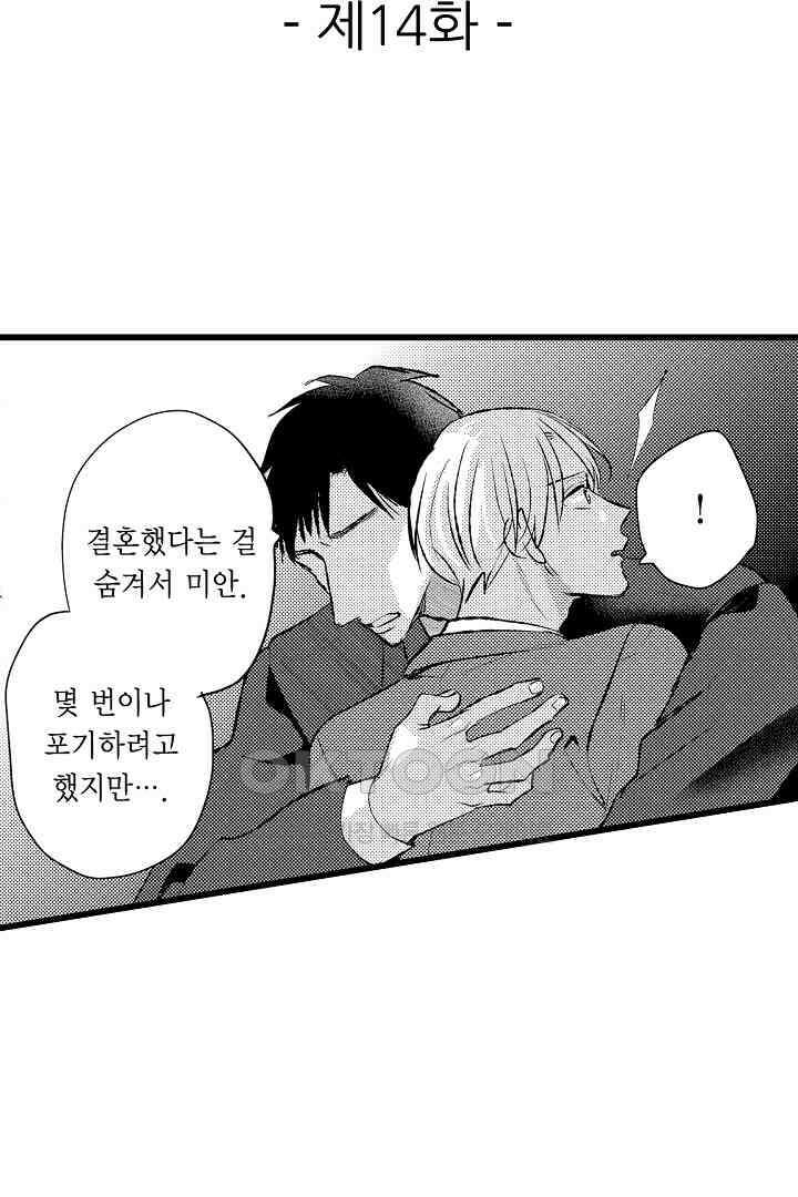 실연 원나잇 러브 14화 2