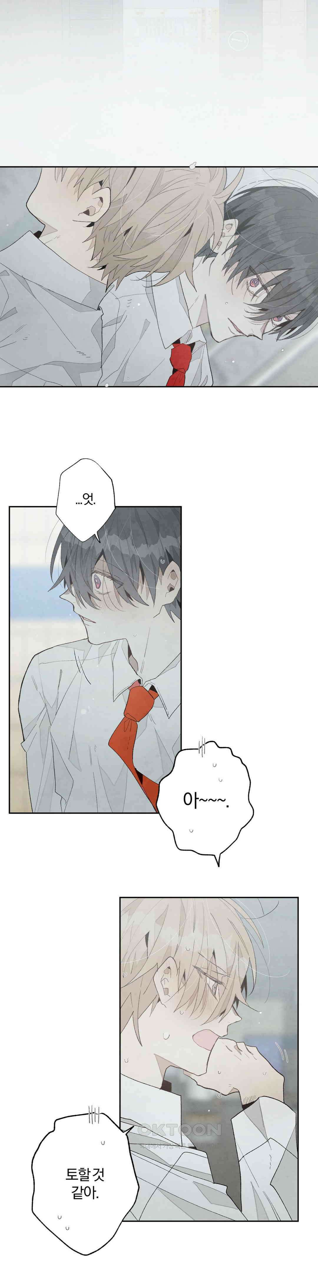 A와 B의 초상 251화 5