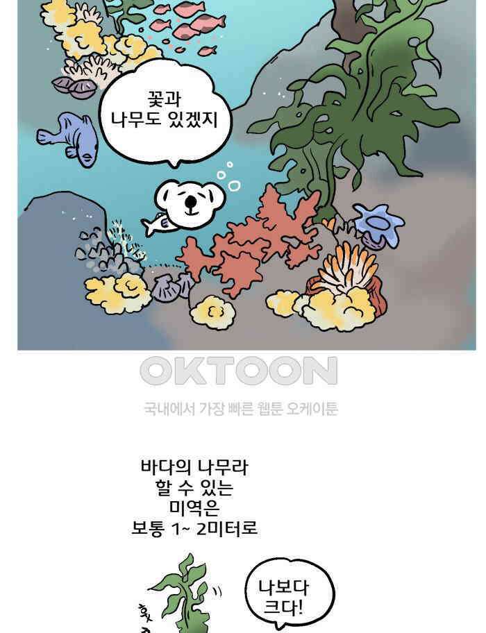 코알랄라 86화 미역 6