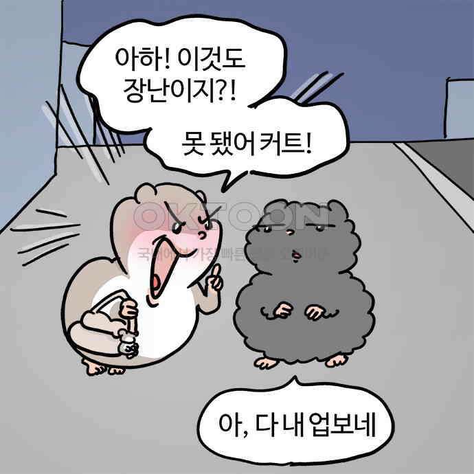 흔한햄 2부 25화 : 고백 공격! 2
