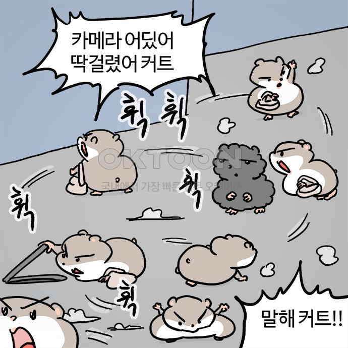 흔한햄 2부 25화 : 고백 공격! 3
