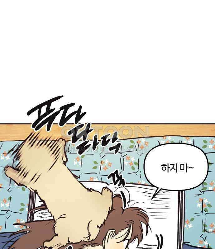 랑데뷰 외전-개줍 랑데뷰(2) 26