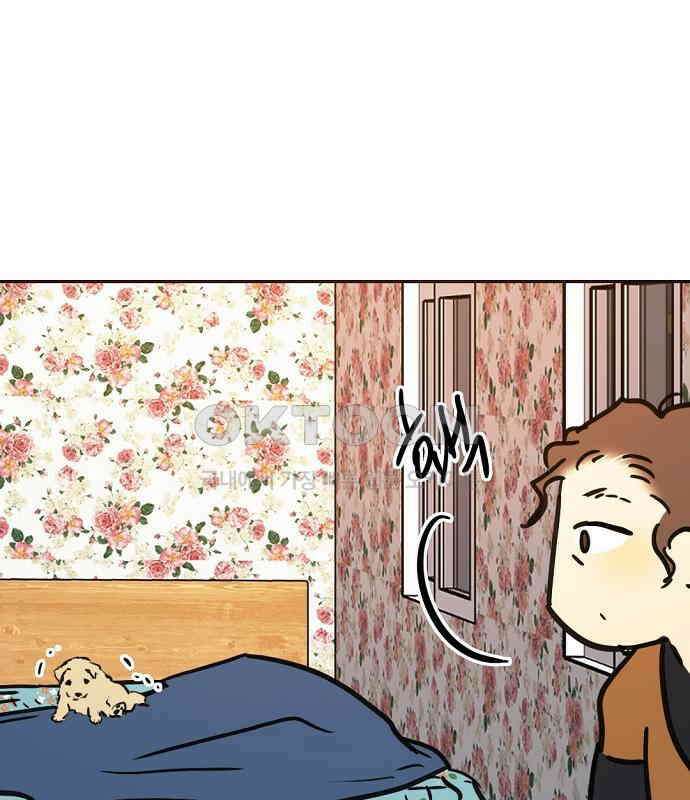 랑데뷰 외전-개줍 랑데뷰(2) 52
