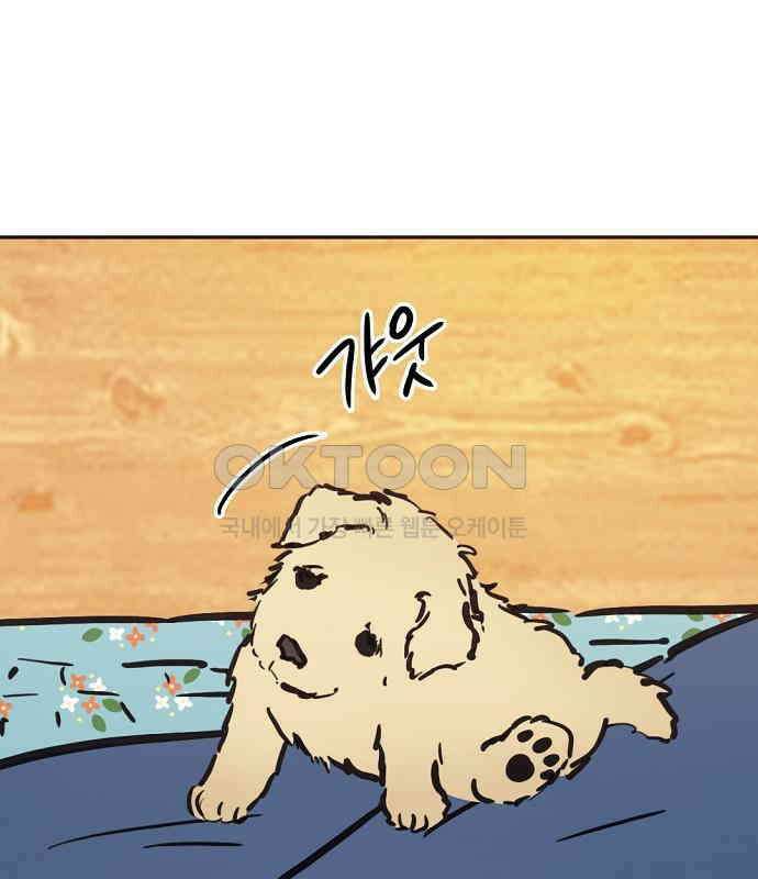 랑데뷰 외전-개줍 랑데뷰(2) 54