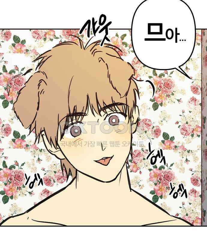 랑데뷰 외전-개줍 랑데뷰(2) 67