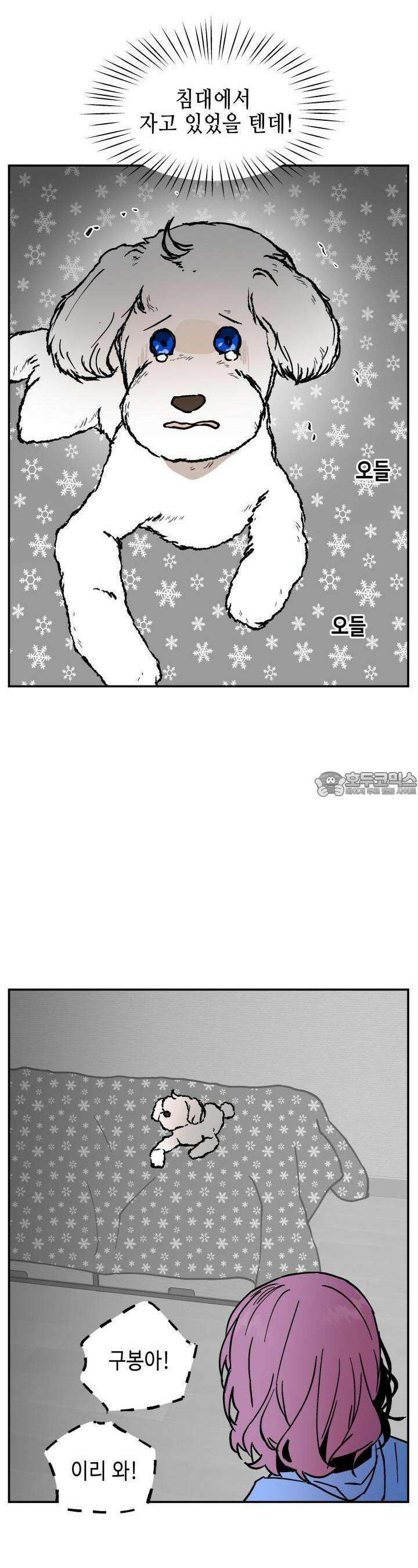 개의 눈으로 보라 10화 9