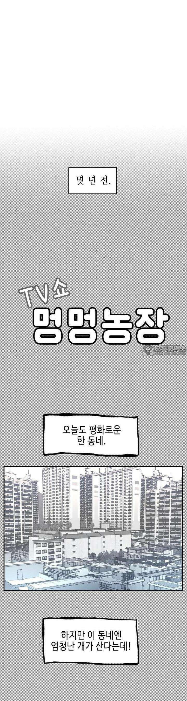 개의 눈으로 보라 10화 12