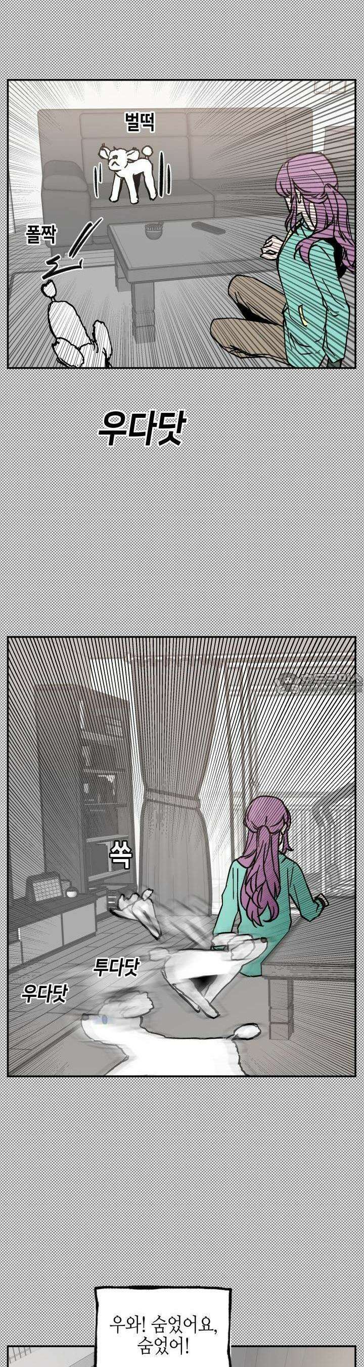 개의 눈으로 보라 10화 17
