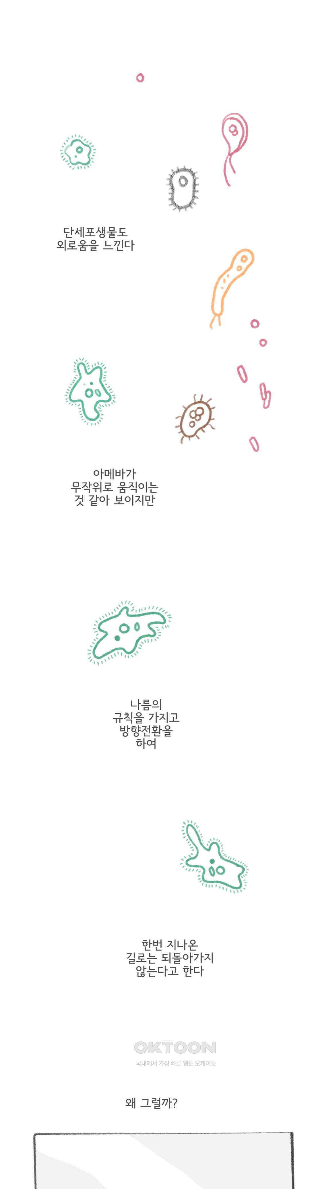 몸만 원해 동물의 세계 1
