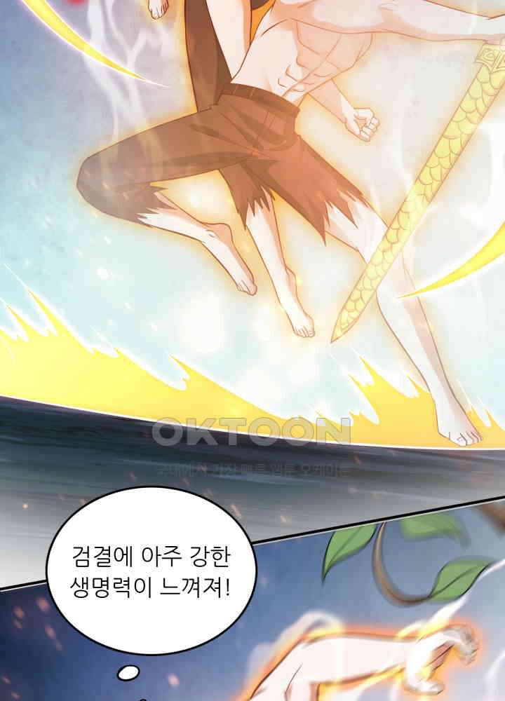 최강신의 257 4