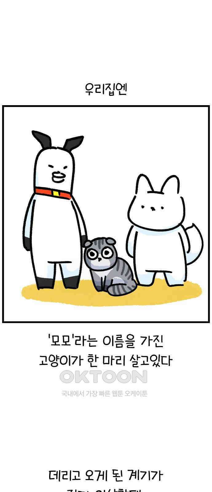 진돌히디만화 36화_천재 고양이 모모 1