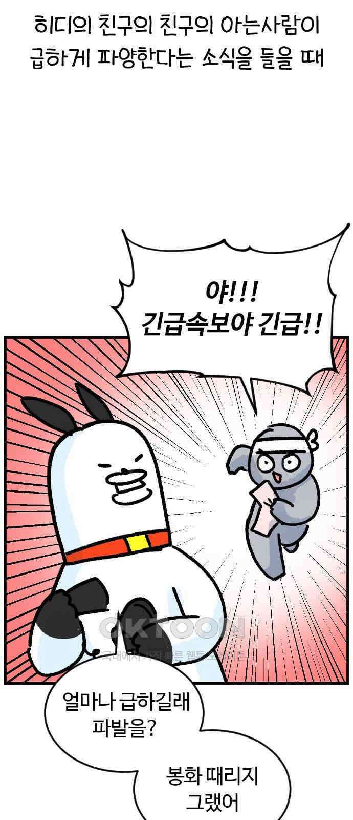 진돌히디만화 36화_천재 고양이 모모 3