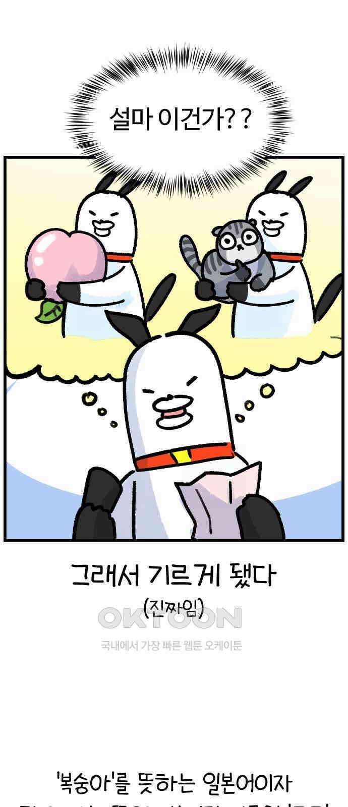 진돌히디만화 36화_천재 고양이 모모 5