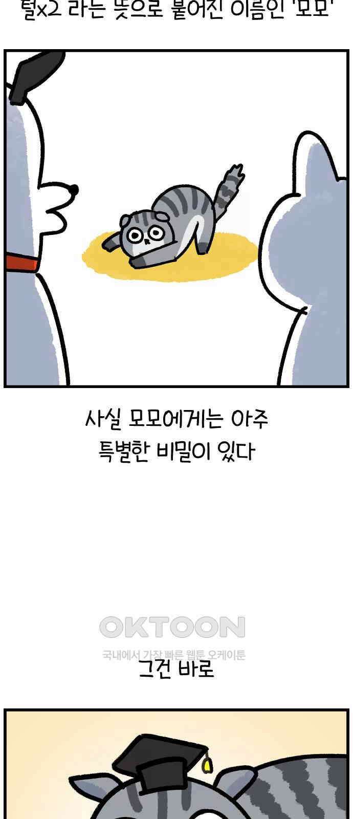 진돌히디만화 36화_천재 고양이 모모 6