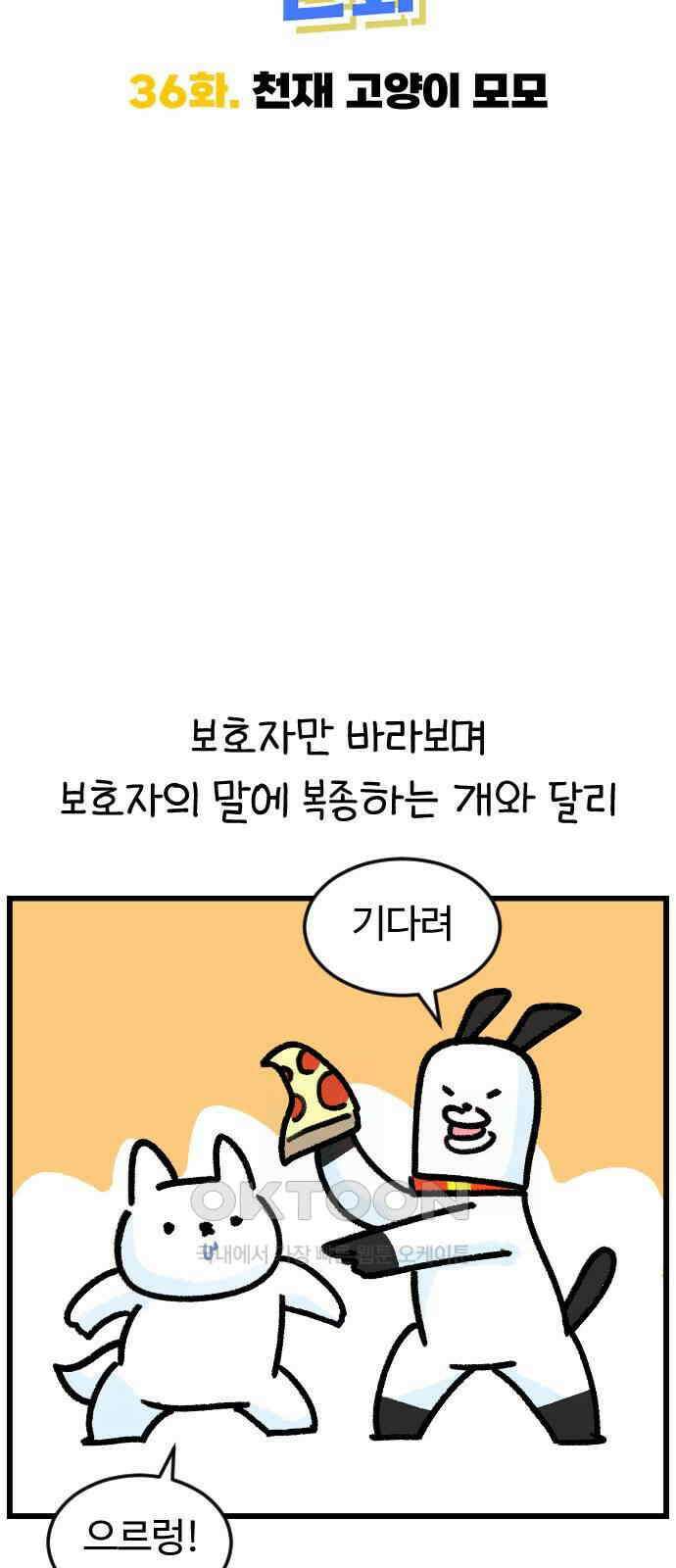 진돌히디만화 36화_천재 고양이 모모 8