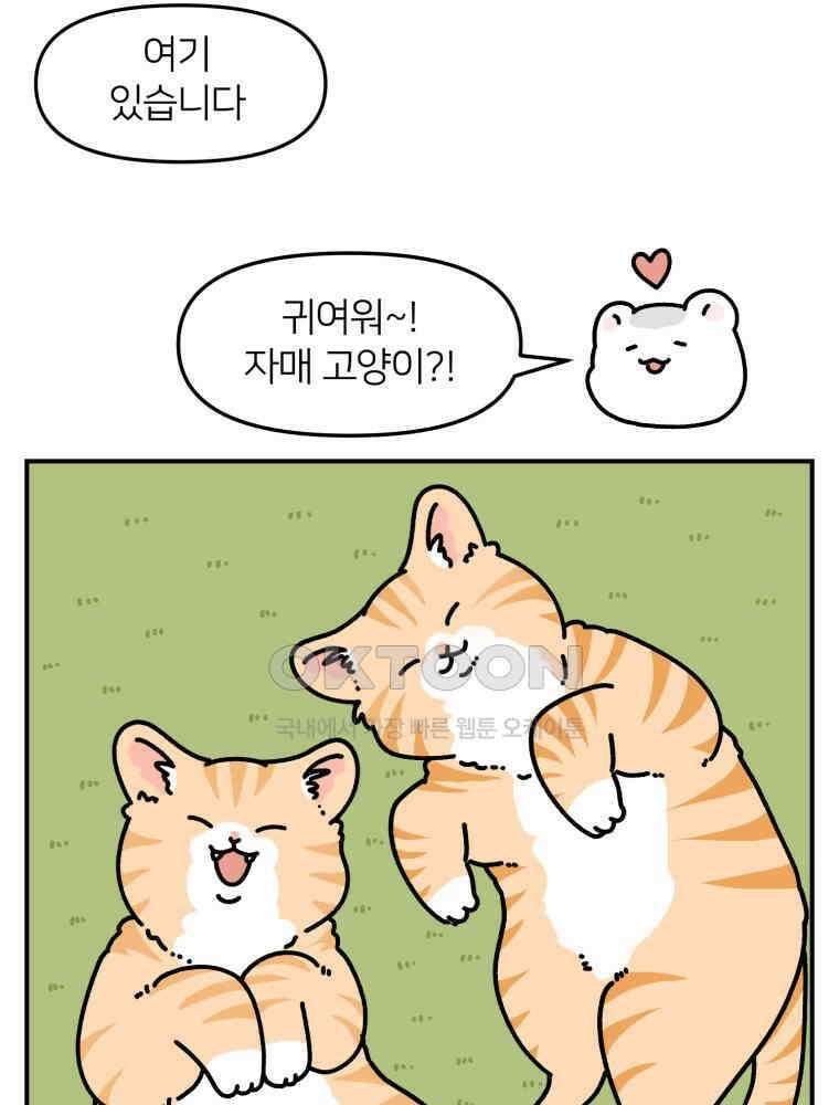 어쩌다 햄스터 30． 햄집사와 멍냥이 5