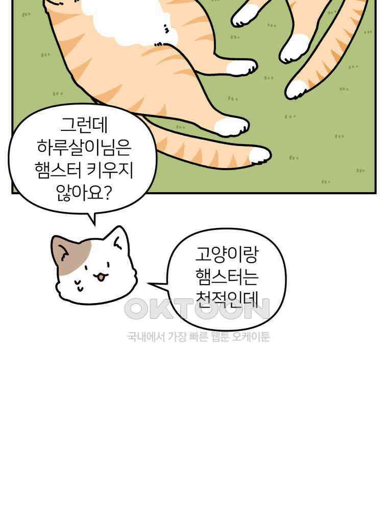 어쩌다 햄스터 30． 햄집사와 멍냥이 6