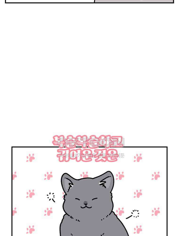 어쩌다 햄스터 30． 햄집사와 멍냥이 8