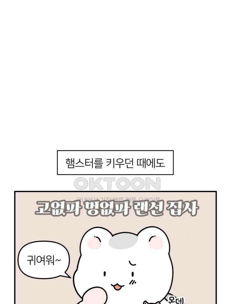 어쩌다 햄스터 30． 햄집사와 멍냥이 13