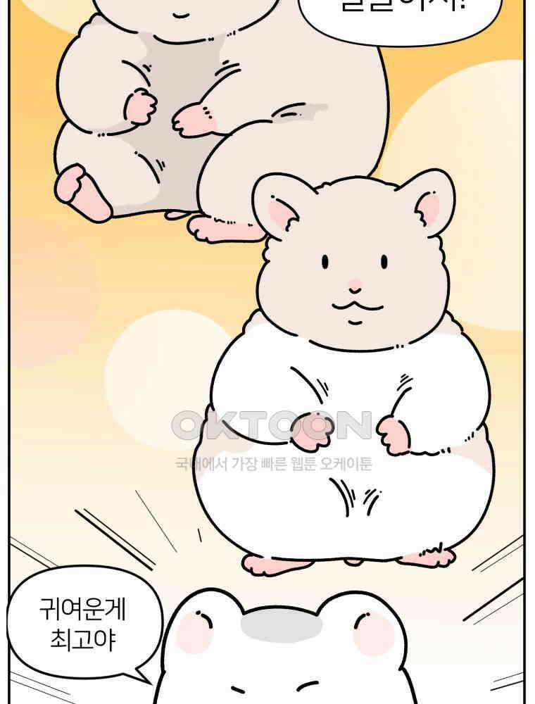 어쩌다 햄스터 41． 뵤한 매력 4