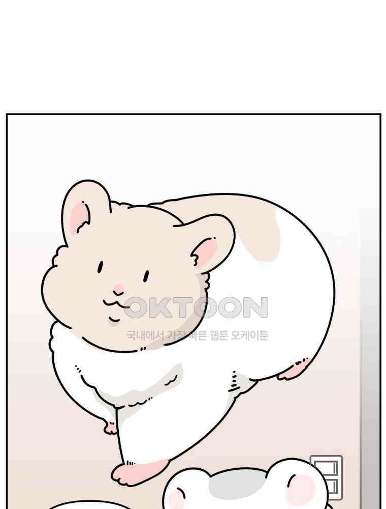 어쩌다 햄스터 41． 뵤한 매력 6