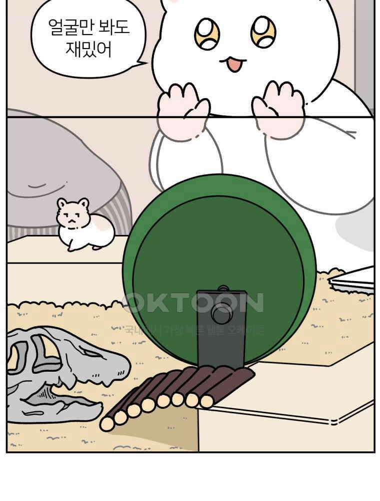 어쩌다 햄스터 41． 뵤한 매력 7