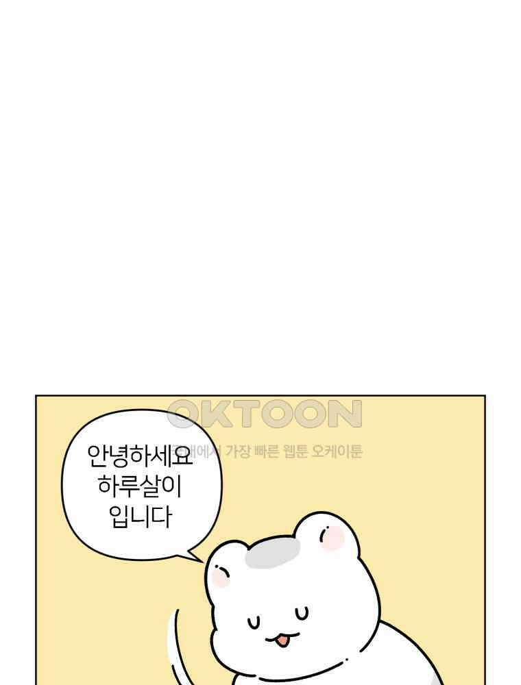 어쩌다 햄스터 후기 2