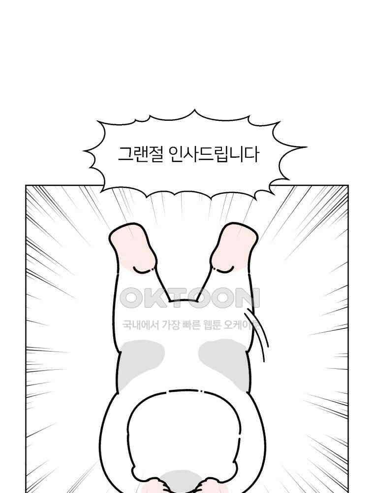 어쩌다 햄스터 후기 5