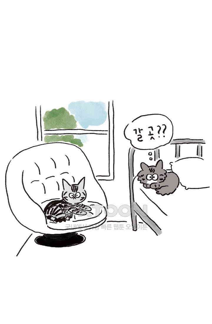 은동스+옹동스 은동스 242화． 보스턴 3