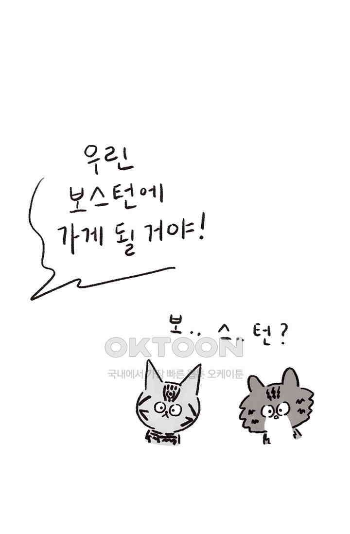 은동스+옹동스 은동스 242화． 보스턴 4