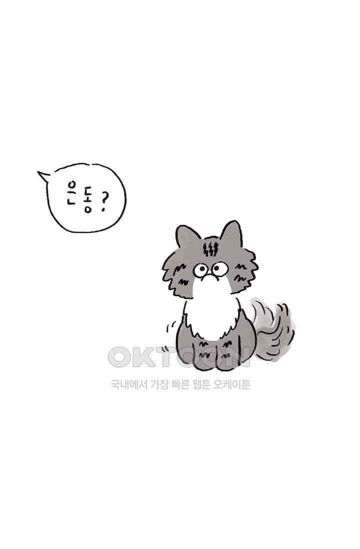 은동스+옹동스 은동스 270화． 금쪽이 고양이 2