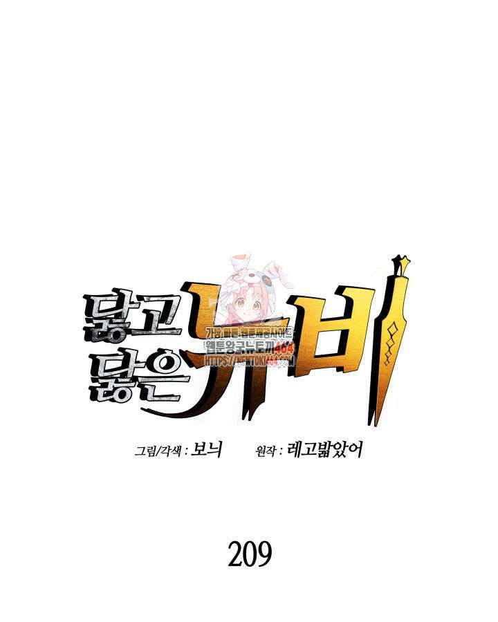 닳고닳은 뉴비 209화 1