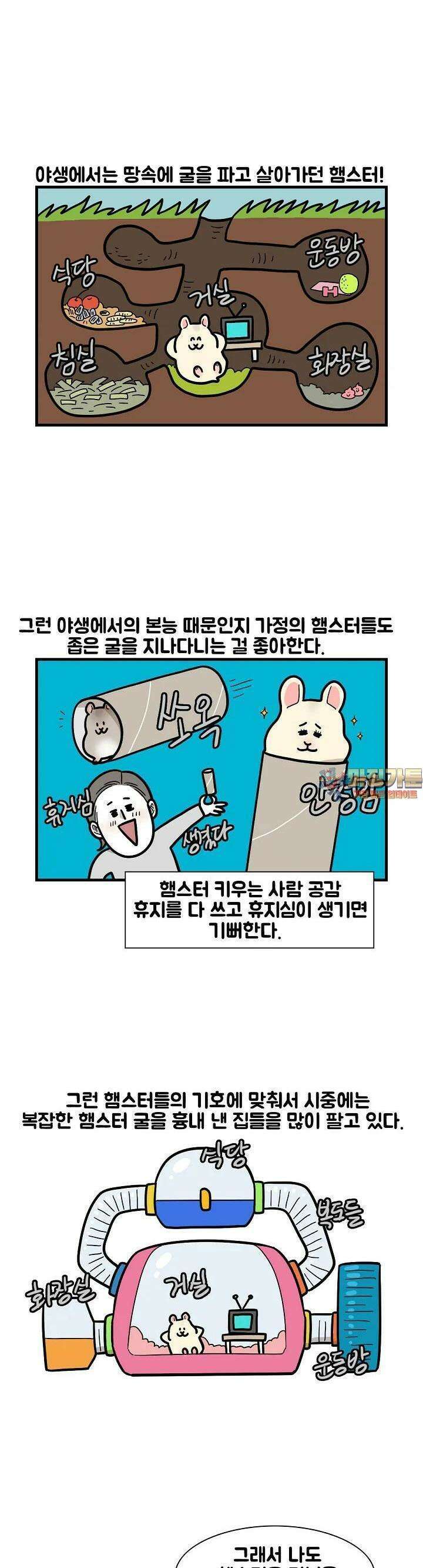 극한견주 62화 극한햄주 2 1