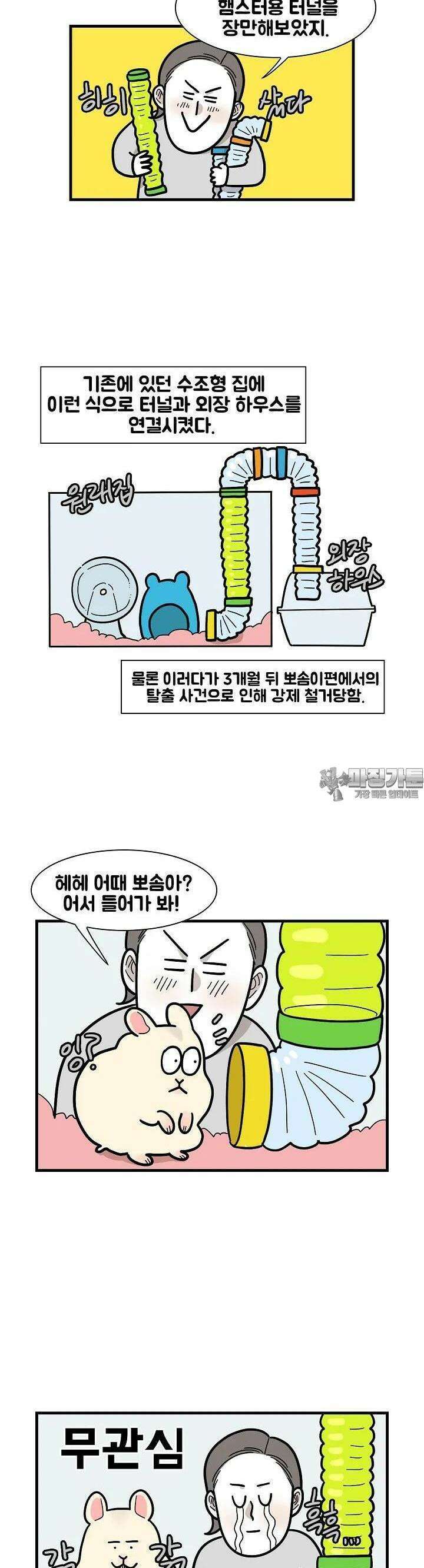 극한견주 62화 극한햄주 2 2