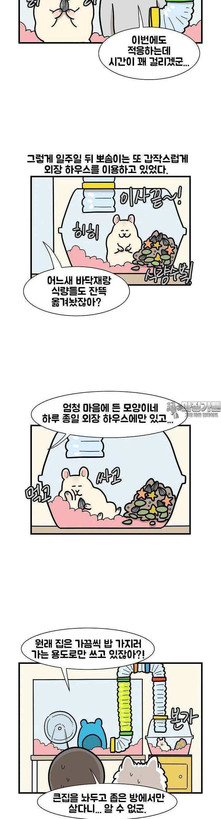 극한견주 62화 극한햄주 2 3