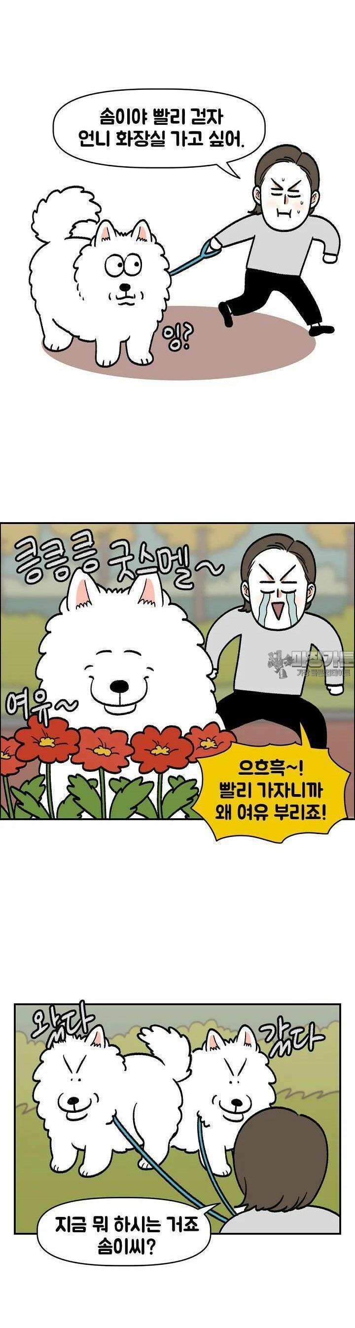 극한견주 외전 1화 배변활동 2