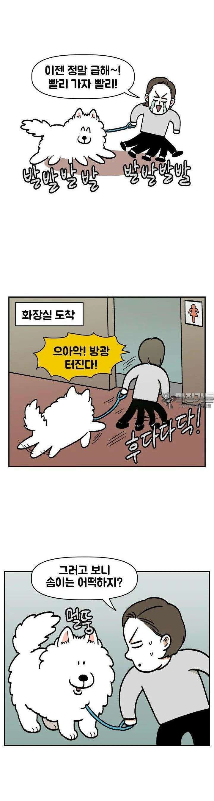 극한견주 외전 1화 배변활동 4