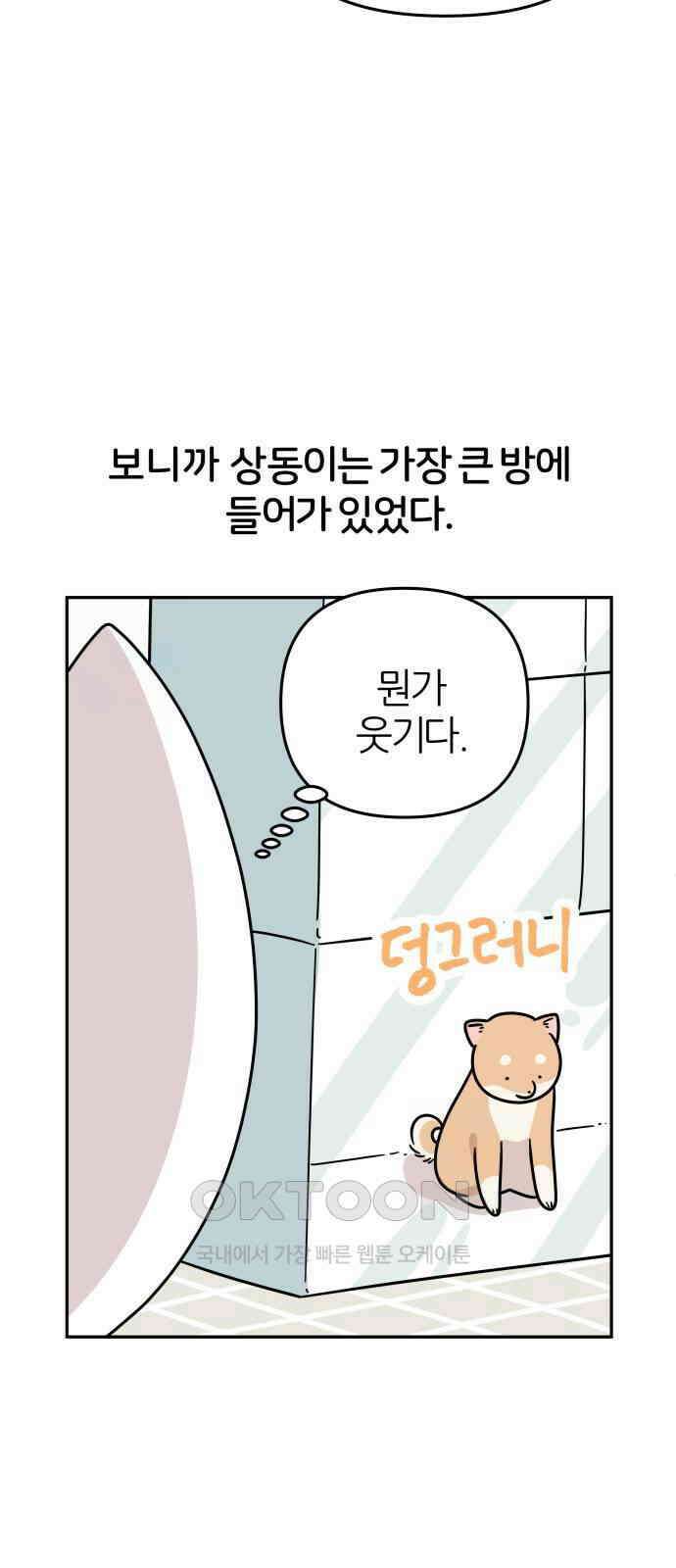 시바, 만만치 않다 13화 8