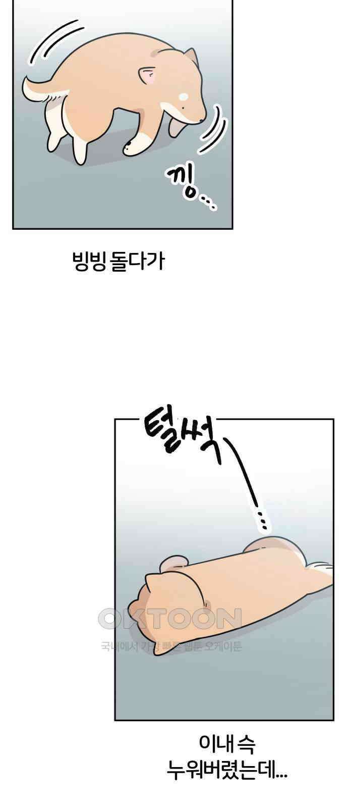 시바, 만만치 않다 13화 10