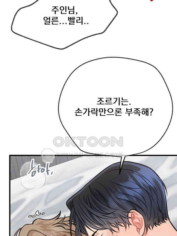 BDSM 기본지침서 21화 13