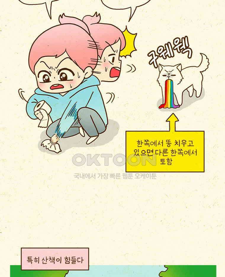 반지하셋방 405화 개들도 함께 다이어트 12