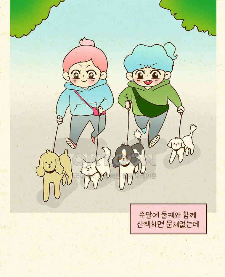 반지하셋방 405화 개들도 함께 다이어트 13