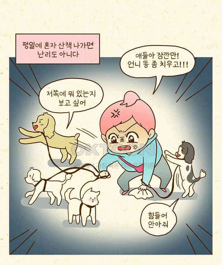 반지하셋방 405화 개들도 함께 다이어트 14