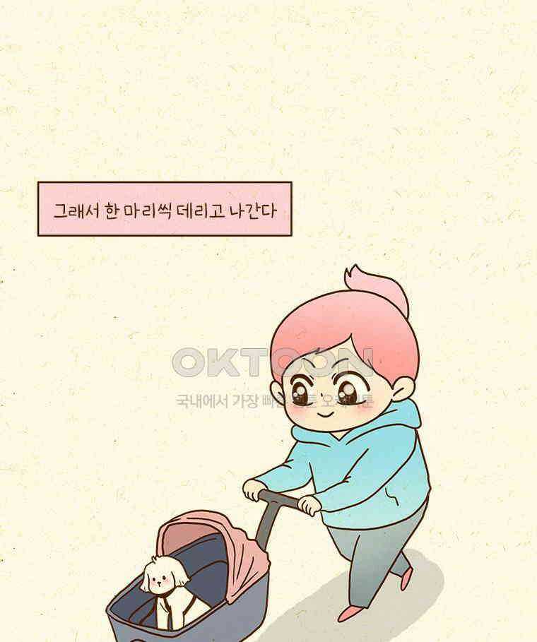 반지하셋방 405화 개들도 함께 다이어트 15