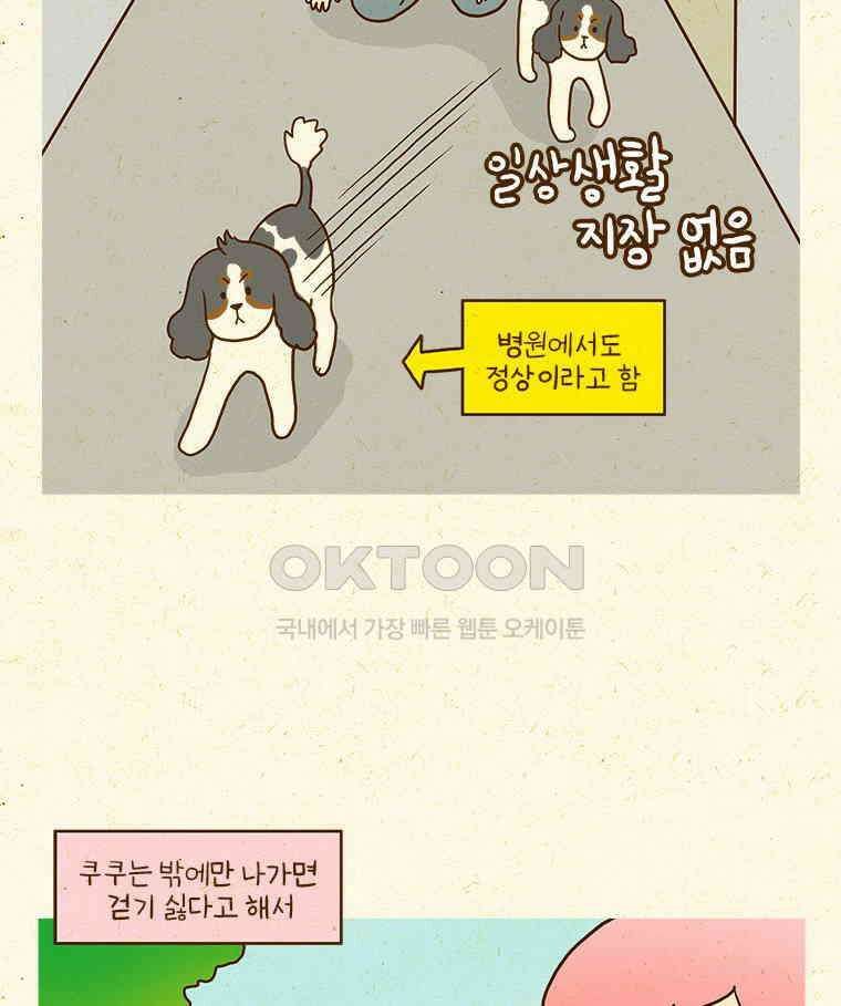 반지하셋방 405화 개들도 함께 다이어트 17