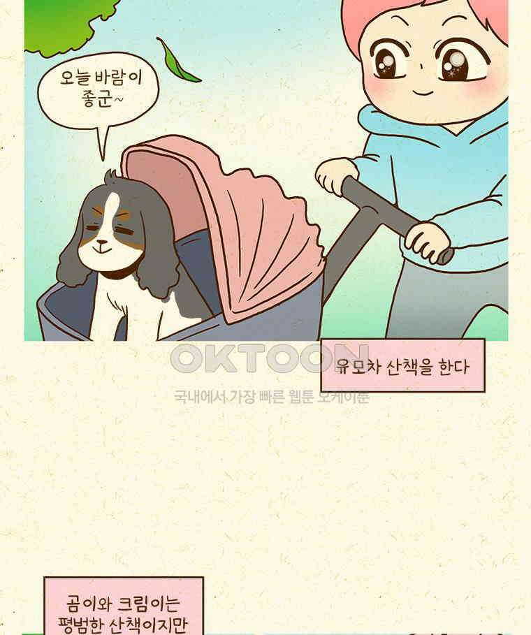 반지하셋방 405화 개들도 함께 다이어트 18