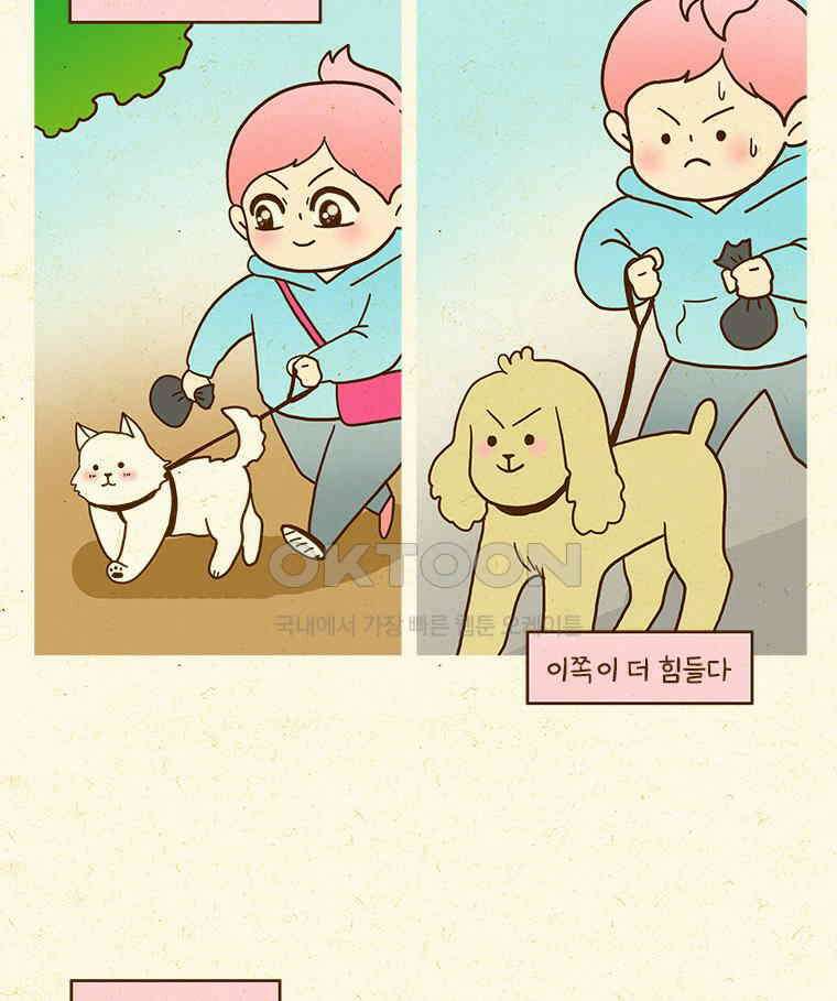 반지하셋방 405화 개들도 함께 다이어트 19