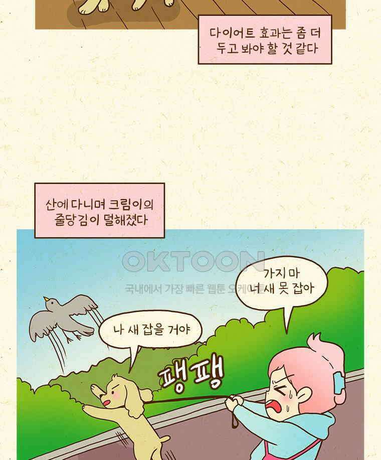 반지하셋방 405화 개들도 함께 다이어트 23