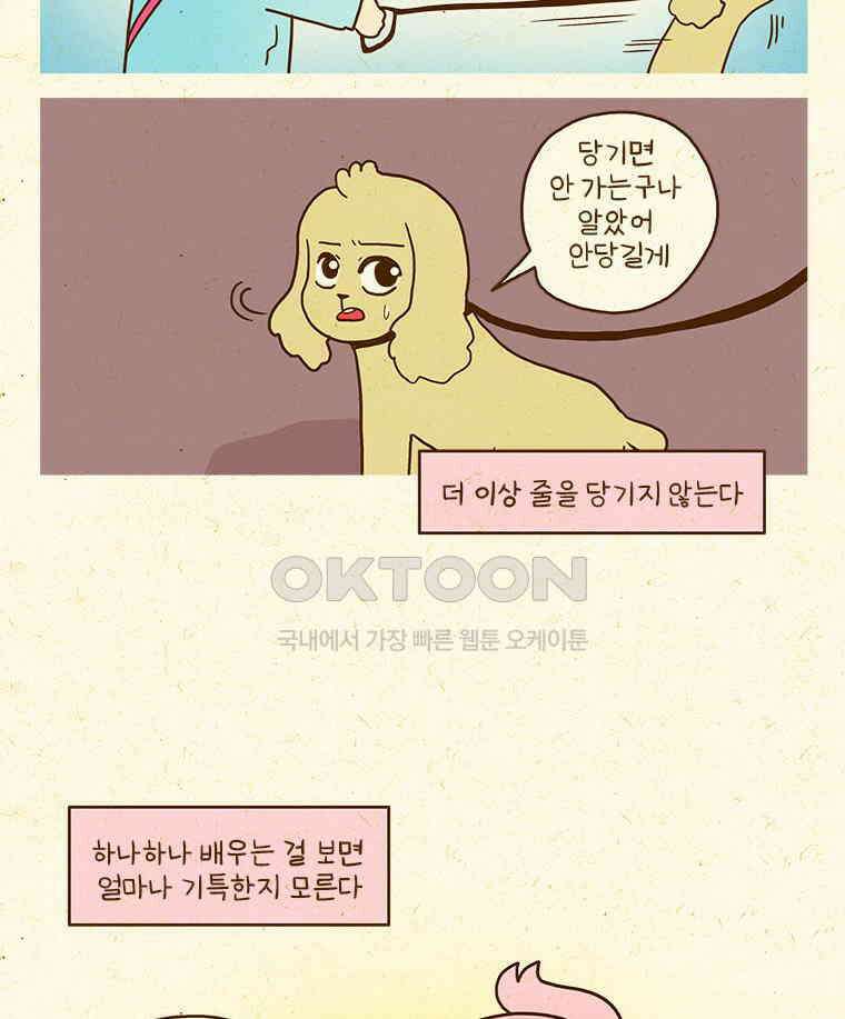 반지하셋방 405화 개들도 함께 다이어트 25