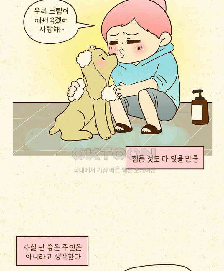 반지하셋방 405화 개들도 함께 다이어트 26